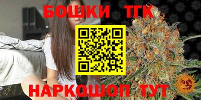 индика Нальчик