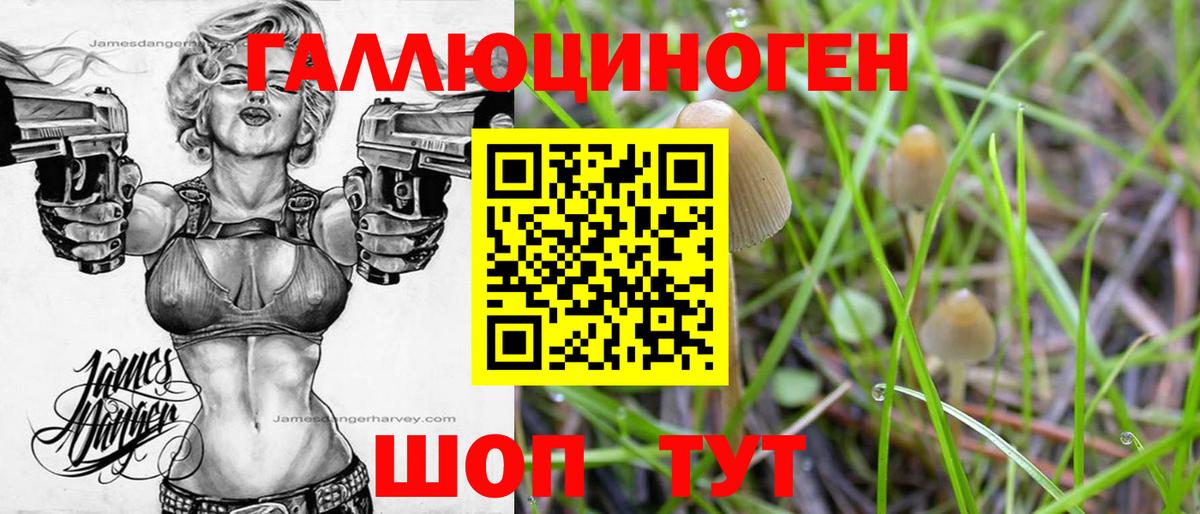 Псилоцибиновые грибы Magic Shrooms Сокол