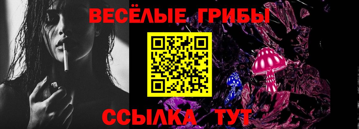 Псилоцибиновые грибы мицелий  Вход с VPN  Сокол  Галлюциногенные грибы ЛСД 